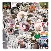 50pcs Oppossum Sticker Pack