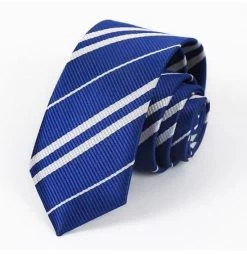 Harry Potter Cosplay Ravenclaw Tie