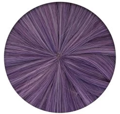 Genshin Impact Keqing Cosplay Wig -Anime Haven Shop image 12000813 12000420 800