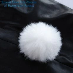 Rascal Does Not Dream Of Bunny Girl Mai Sakurajima Cosplay Costume -Anime Haven Shop image 6025589 6004223 800