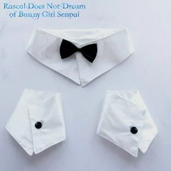 Rascal Does Not Dream Of Bunny Girl Mai Sakurajima Cosplay Costume -Anime Haven Shop image 6025591 6004225 800