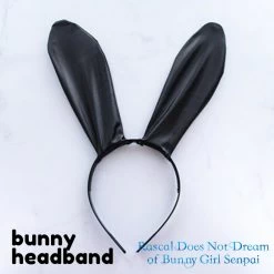 Rascal Does Not Dream Of Bunny Girl Mai Sakurajima Cosplay Costume -Anime Haven Shop image 6025592 6004226 800